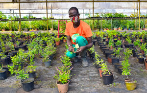 Atelier horticulture à l'ESAT